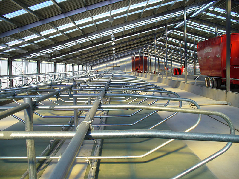 The large Dairy Shed in New Zealand