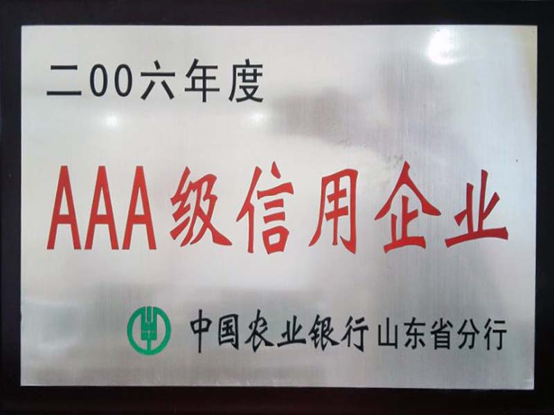 AAA + credit enterprise of Agricultural Bank in 2006